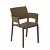 Set di sedie con braccioli e protezione UV fabbricate in polipropilene colore cioccolato Fiona Resol