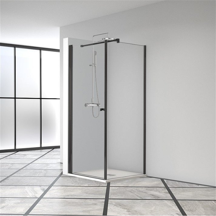 Box doccia d'angolo con una porta a battente e un pannello laterale fisso Arcoiris Plus 208 Profiltek