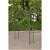 Arco para flores de jardín de 175 cm ancho ajustable de metal acabado negro Flexi CLP