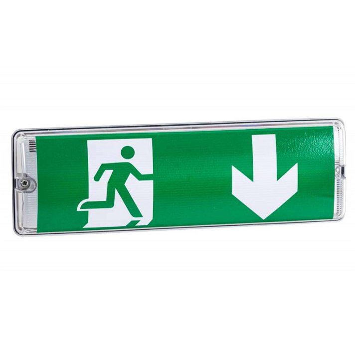 Luz de ruta de rescate con dirección de flecha hacia abajo de 35 cm color verde CLP