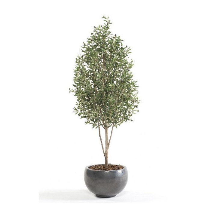 Pianta di olivo artificiale con vaso standard di 175 cm di altezza Olivo Mini Decoplanta