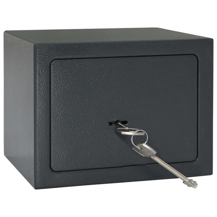 Caja fuerte mecánica hecha de acero con dos pernos de bloqueo de 23 cm de ancho y en color gris oscuro Vida XL