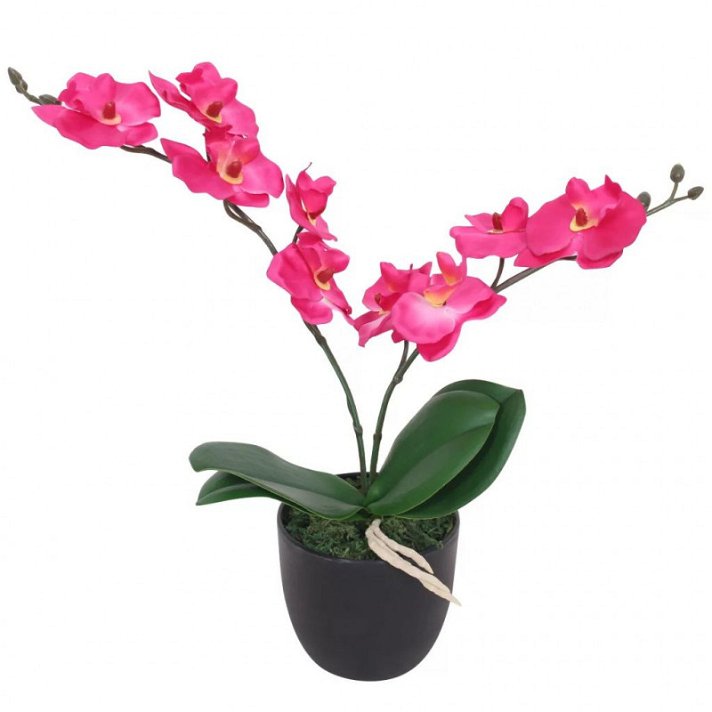Orquídea artificial de orquídea coneflower 30cm vermelha Vida XL