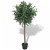 Árbol de laurel artificial con macetero verde y tronco real de 120 cm de alto Vida XL