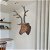 Cabeza de ciervo para decoración de pared apariencia natural Vida XL