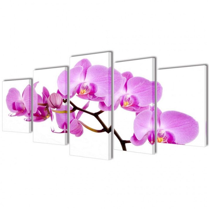 Conjunto de painéis decorativos Orquídea Vida XL