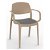 Set di sedie con braccioli realizzate in polipropilene sabbia e tappezzeria carbone Smart Resol