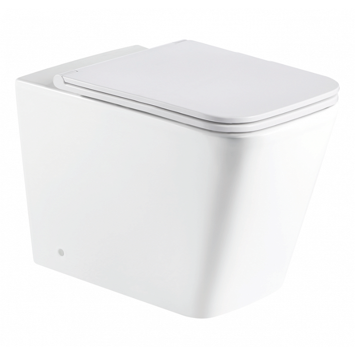 Vaso WC sospeso con tecnologia Rimless con scarico e doppia uscita Pisa della marca Aquore