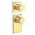 Grifo termostático vertical 1 vía oro mate Block System TRES
