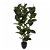 Ficus artificiel en plastique 120 cm Atmosphera Diempi