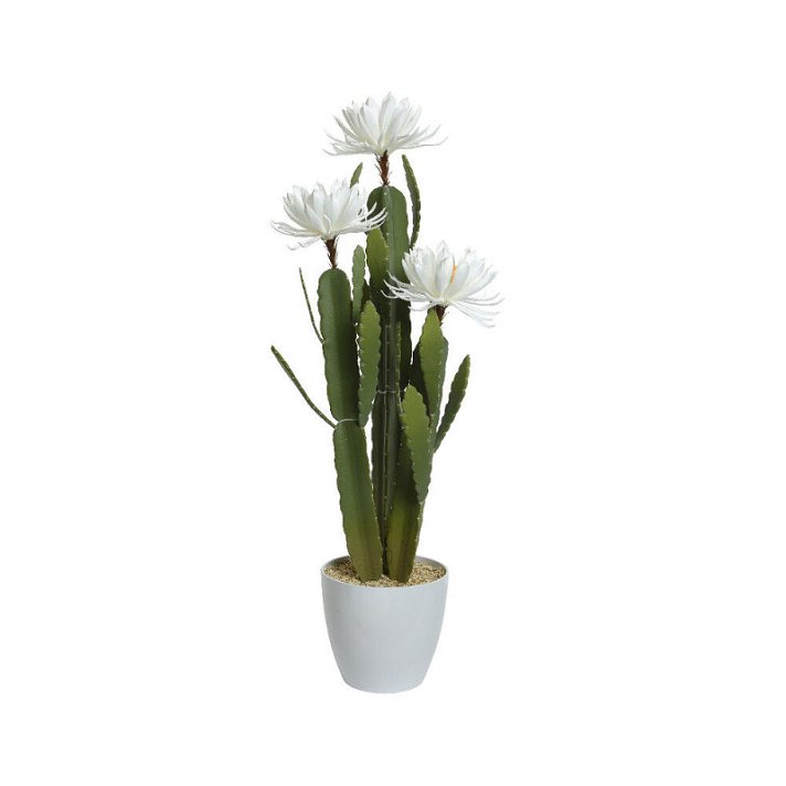 Cactus pitahaya artificial con flores en maceta de plástico 106 cm verde y blanco Viveros Murcia