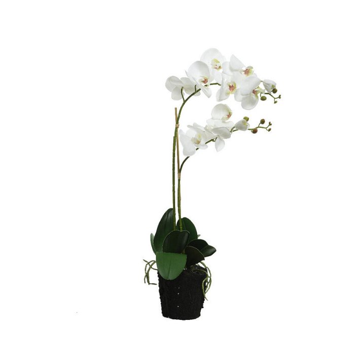 Orquídea artificial de aspecto realista con flores 62 cm verde y blanco Viveros Murcia