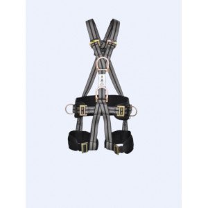 Harnesses and Fall Arrest Systems