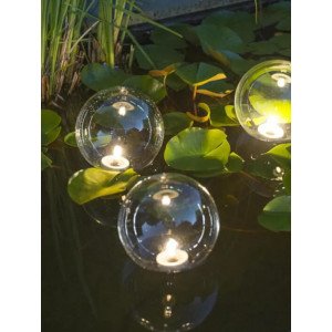 Pond Lights